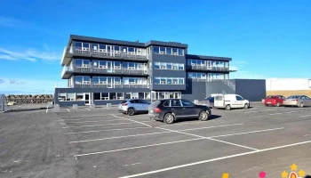 Alvar Mist ehf. - Reykjavík