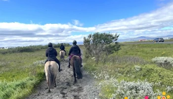 Bakkahestar - reiðtúraferðir - 820 Eyrarbakki