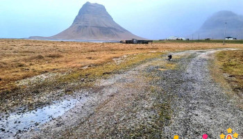 Berg Horse Farm - Énésæþ