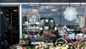 Blóm og fiðrildi - 105 Reykjavík
