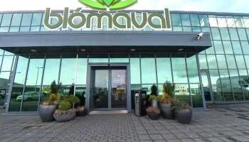 Blómaval - 104 Reykjavík