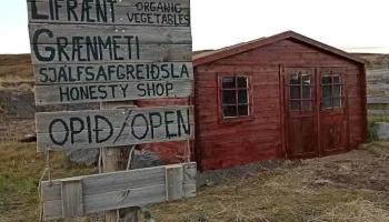 Breiðargerði garðyrkjustöð - Varmahlíð