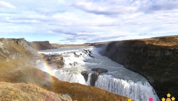 Brúarhestar - Hestastopp - 801 Selfoss