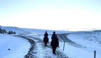 Dalahestar - Búðardalur
