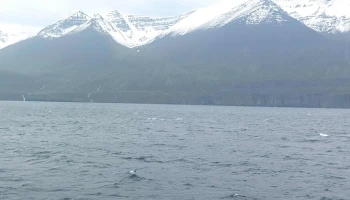 Dalvik Ferry to Grimsey Island - Dalvík