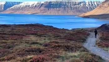 Dynjandi - 108 Reykjavík