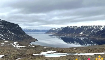 Dynjandisheiði Heath - 466