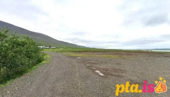 Dýraspítalinn Glæsibæ - Ísland
