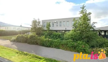 Dýrey - Akureyri