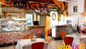 Freya Café - Inside Skogar