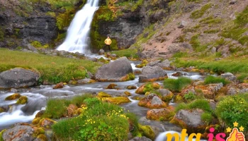 Gljúfurárfoss Waterfall - 466