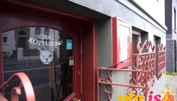 Grái kötturinn - 101 Reykjavík