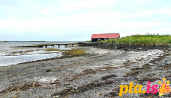 Hafberg fresh fish store - Skeiðarvogur