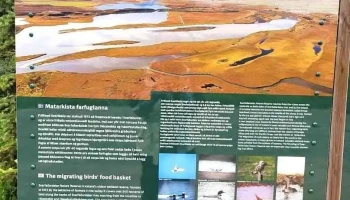 Hánefsstaðaskógur - Dalvík