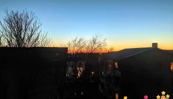 Heimar - Reykjavík