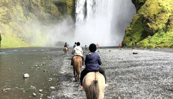 Horse rental Ytri-Skógar - 861