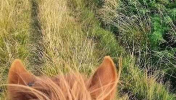 Hrafnagerði Lodge & Horseback Riding - Egilsstaðir
