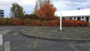 Hvaleyrarskóli - 220 Hafnarfjörður