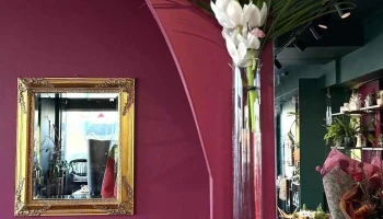 Hæ Blóm ehf. ✿ Blómabúð í Grímsbæ ✿ Flowershop - 108 Reykjavík