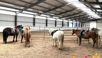 Icelandic Horseworld - Rangárþing Ytra