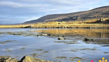 Illugastaðir selaskoðun - Ísland