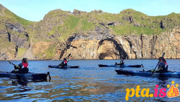 Kayak and Puffins - Vestmannaeyjabær