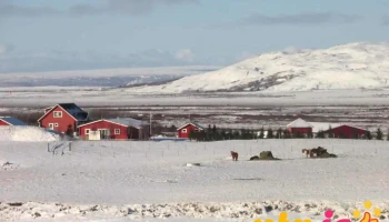 Kjóastaðir - Iceland