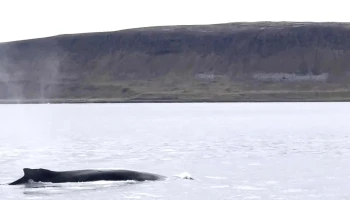 Láki Tours - Hólmavík
