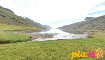 Mjóafjarðarkirkjugarður - Fjordhur