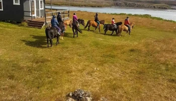 Ölvaldsstaðir horse rental - 311 Ferjubakkavegur