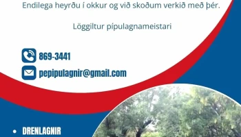 Pepípulagnir - Iceland