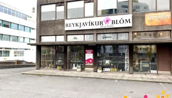 Reykjavíkurblóm - 105 Reykjavík