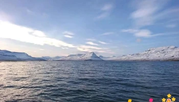 Reyðarfjörður - Iceland