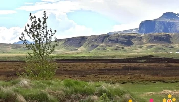 Ræktunarstöðin Lágafelli ehf - Ísland