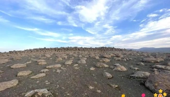 Skessugarður - 7Cmh+37R