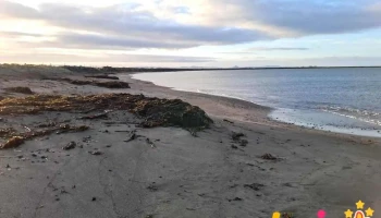 Skreiðarhjallar - Seltjarnarnes