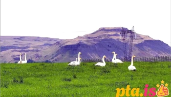 Smárahlíð - Flúðir