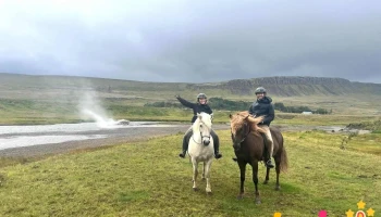 Sturlureykirhorses - 320 Reykholt