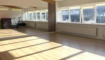 The Dance Space Reykjavík ehf. - 110 Reykjavík