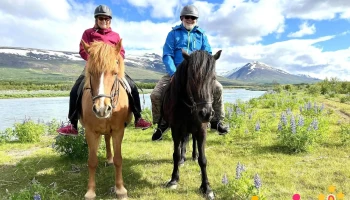Tina's Horse Rental - 701 Egilsstaðir