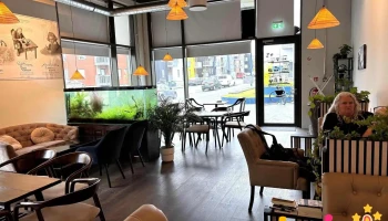 Trung Nguyen E - Coffee Iceland - 105 Reykjavík