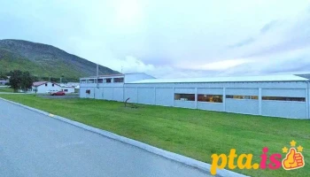 Tungusilungur - Tálknafjörður