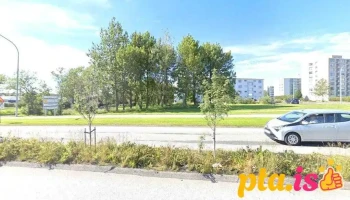 Vefjan - Reykjavík