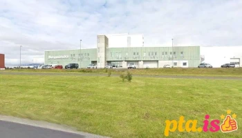 Vefpóstur - Davíð og Golíat - Reykjavík