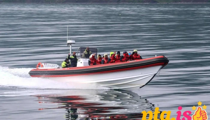 Arcticseatours Ferðaskrifstofa - Dalvík