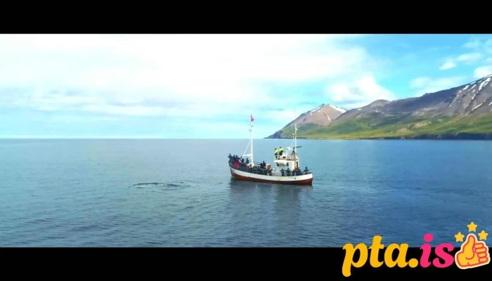 Arcticseatours Fra Eiganda - Dalvík