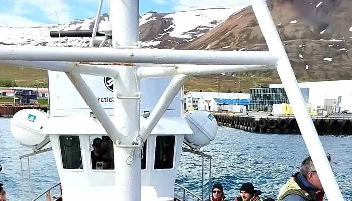 Arcticseatours Hvernig A Að Komast þangað - Dalvík