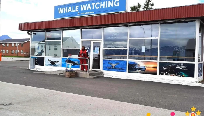 Arcticseatours Naerumhverfi - Dalvík