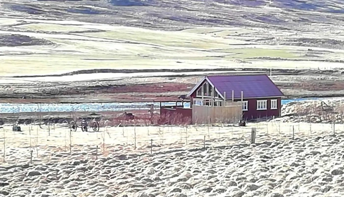 Arfell Heimilisfang - Varmahlíð