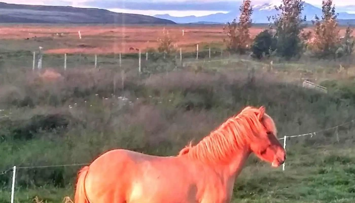 Asahraun Fra Eiganda - Selfoss